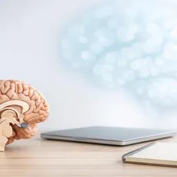 Imagem do Curso gratuito Neuropsicologia Básica: Fundamentos de Neurociência e Processos Cognitivos